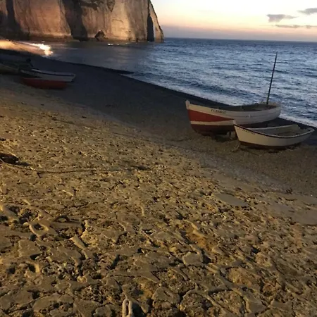 Les Centre & * ル・アーヴル